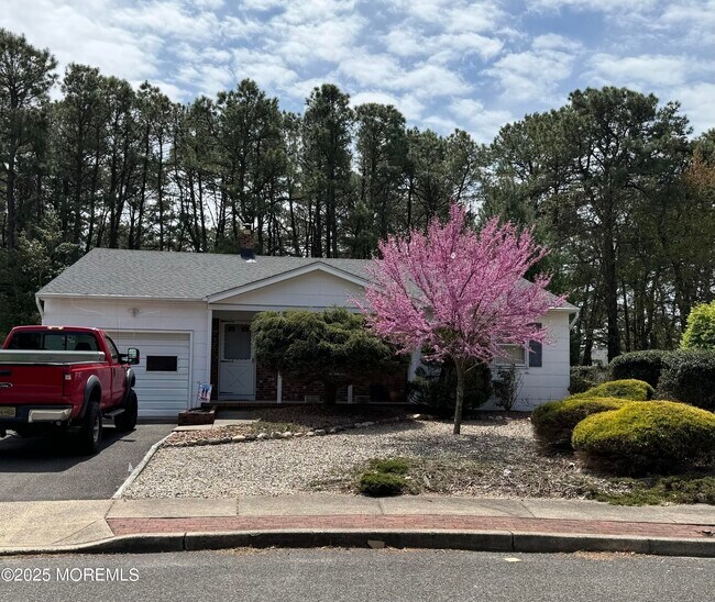 24 Upton Ct in Toms River, NJ - Building Photo - Building Photo