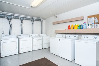 350 Thompson Apartments in Ann Arbor, MI - Building Photo - Interior Photo