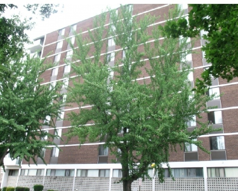 St James Terrace- Senior 62+ Apartments in Baltimore, MD - Building Photo