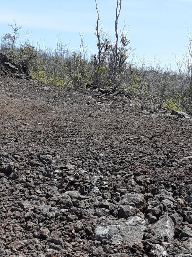 property at 92-8985-9194 Tiki Ln