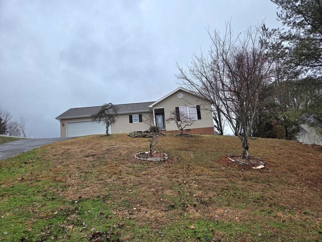 3705 Meadow Green Dr in Johnson City, TN - Building Photo - Building Photo
