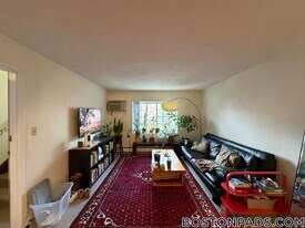 8 Brattle Dr in Arlington, MA - Building Photo