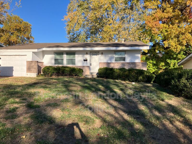 11016 Saginaw Dr in St. Louis, MO - Building Photo