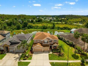 2330 Nesslewood Dr in Wesley Chapel, FL - Foto de edificio - Building Photo