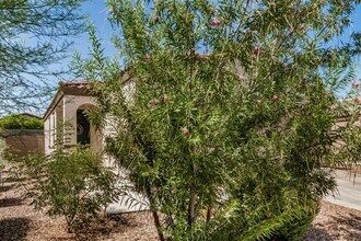 19958 W Washington St in Buckeye, AZ - Building Photo - Building Photo