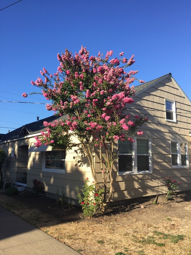 property at 1006 E 2nd St