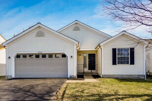 5655 Dashshund Ct in Columbus, OH - Building Photo