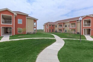 315 Butterfly Garden Dr in Rio Grande City, TX - Building Photo