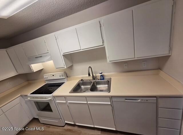 3550 Sable Palm Ln in Titusville, FL - Building Photo - Building Photo