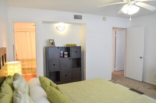 Arbor Creek Apartments in Wichita Falls, TX - Building Photo