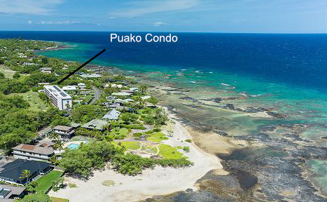 69-1647 Puako Beach Dr, Unit 102 in Kamuela, HI - Building Photo - Building Photo
