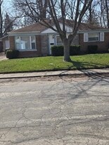 253 Mantua St in Park Forest, IL - Building Photo