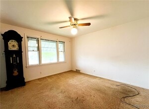 118 Chaplin Dr in Buffalo, NY - Building Photo - Building Photo