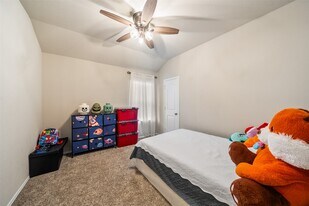 13928 Payette Arbor Ct in Shenandoah, TX - Building Photo