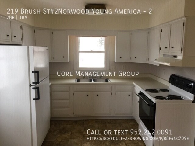 219 Brush St in Norwood Young America, MN - Building Photo