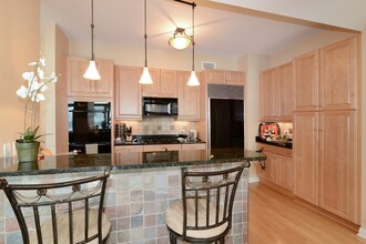 52 W Elm St, Unit 3501 in Chicago, IL - Foto de edificio - Building Photo