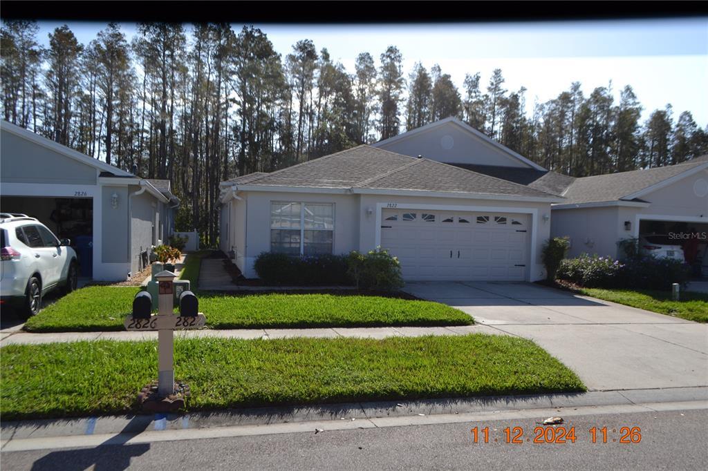 2822 Tanglewylde Dr in Land O Lakes, FL - Building Photo