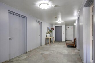 356 Playa Del Norte St in San Diego, CA - Building Photo - Building Photo