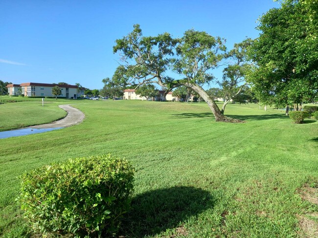 80 Crooked Tree Ln
