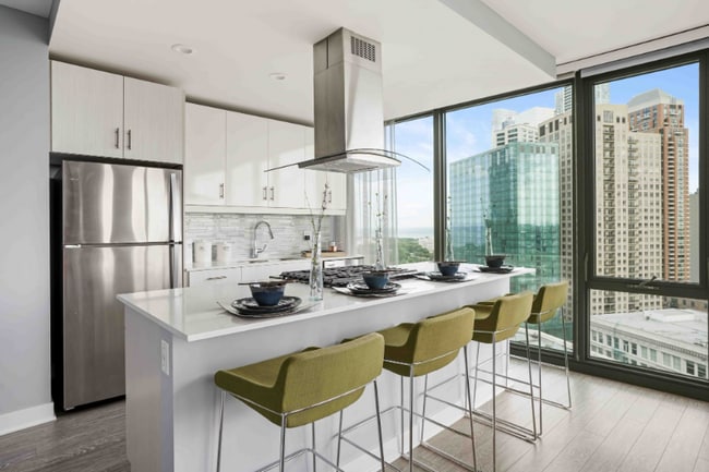 1016 S State St in Chicago, IL - Building Photo - Building Photo