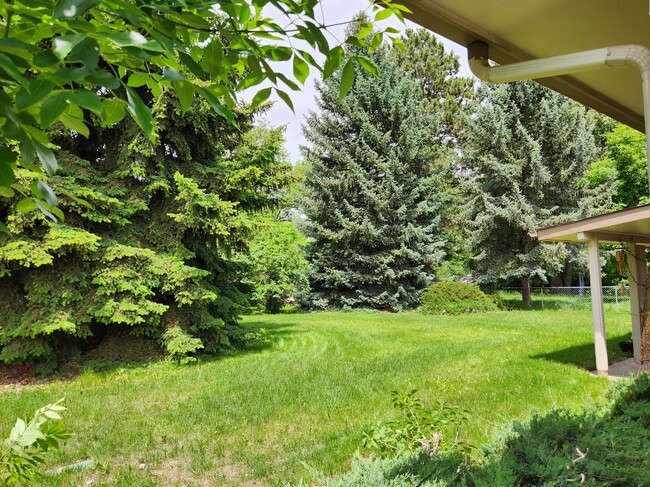 1201 S Bryan Ave in Fort Collins, CO - Building Photo - Building Photo