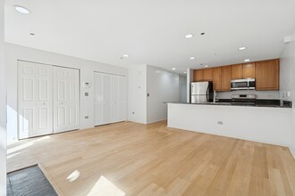 51 W 15th St in Chicago, IL - Building Photo - Building Photo