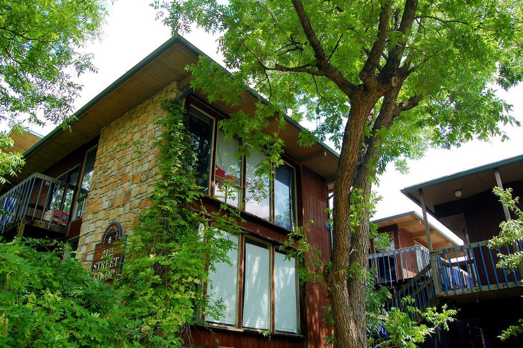 College Houses Cooperatives in Austin, TX - Building Photo