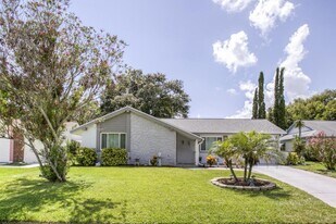12111 Meadowbrook Ln in Hudson, FL - Building Photo