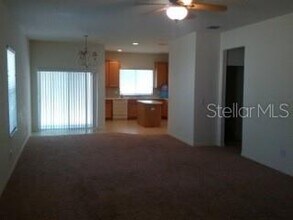 10625 Shady Falls Ct in Riverview, FL - Building Photo - Building Photo