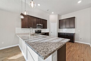 151 Scenic Hills Ct in Montgomery, TX - Building Photo