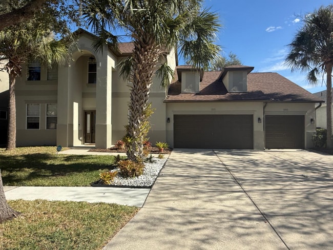 11805 Holly Creek Dr in Riverview, FL - Foto de edificio - Building Photo