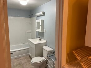 132 Tecumseh St, Unit 1 in Dundee, MI - Building Photo - Building Photo