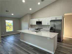 343 NE 19th Terrace in Cape Coral, FL - Building Photo - Building Photo