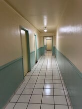 384 Minorca Ave, Unit 6 in Coral Gables, FL - Building Photo - Building Photo