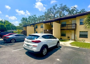 380 2nd Ave N in Safety Harbor, FL - Building Photo - Building Photo