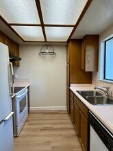 3038 Shadow Springs Pl in San Jose, CA - Building Photo - Building Photo