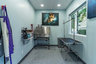 Willow Lake in San Jose, CA - Foto de edificio - Building Photo