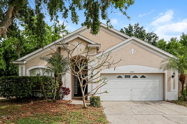 property at 17345 Bumblebee Pass