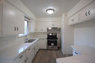 4920 Laurel Canyon Blvd in Los Angeles, CA - Foto de edificio - Building Photo