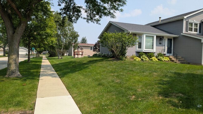 721 Cutter Ln in Elk Grove Village, IL - Building Photo - Building Photo