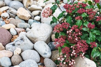 Maple Apartments: Newly Renovated in Sumner, WA - Building Photo - Building Photo