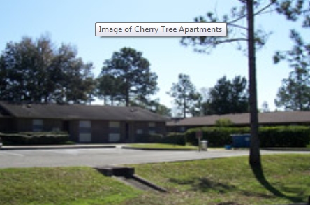 Cherry Tree Apartments in Palatka, FL - Foto de edificio - Building Photo