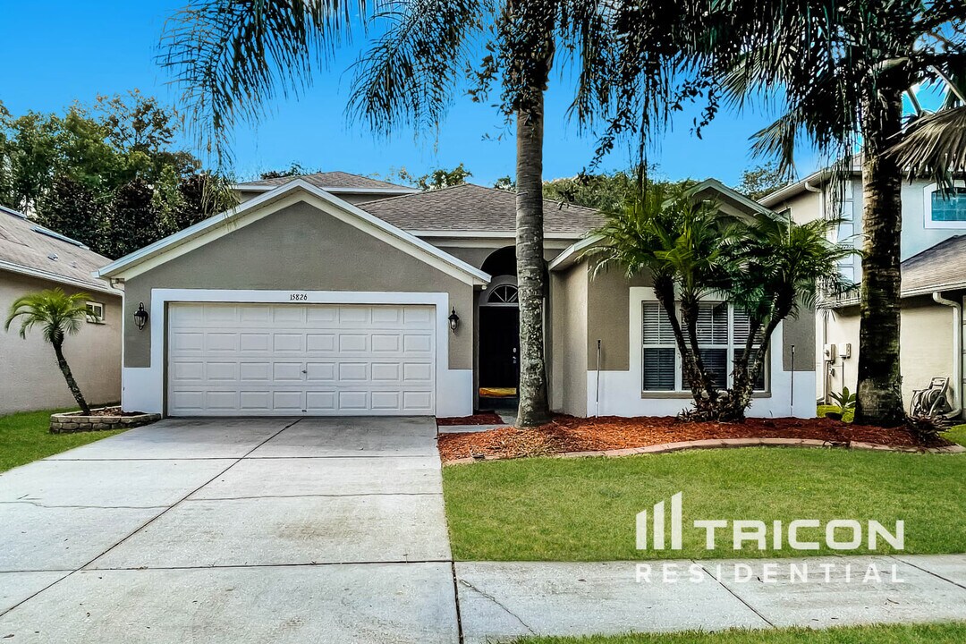 15826 Cedar Elm Terrace in Land O Lakes, FL - Building Photo