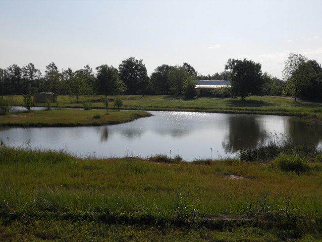 Hope Springs Rv mission and retreat in Hughes Springs, TX - Building Photo - Other