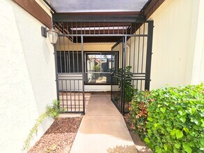 920 W Solcito Ln in Phoenix, AZ - Building Photo - Building Photo