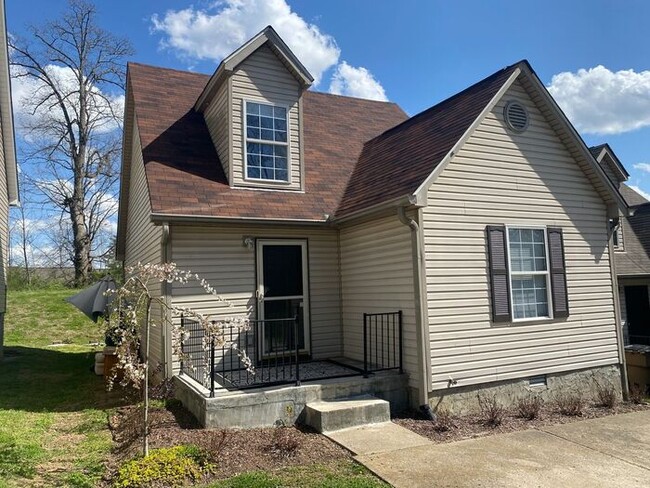 property at 1007 Brittany Park Dr