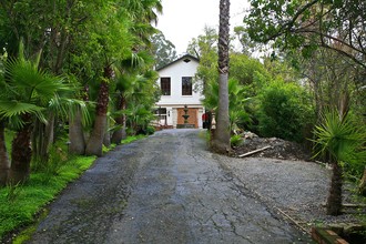 164 Palm in San Rafael, CA - Foto de edificio - Building Photo