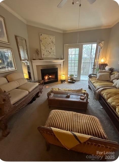 300 Vista Lake Dr in Candler, NC - Building Photo - Building Photo