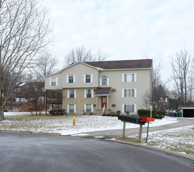 3900 Indian Run Dr in Canfield, OH - Foto de edificio - Building Photo