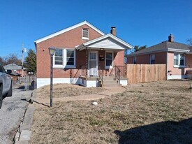 313 Carthage Ave in St. Louis, MO - Building Photo